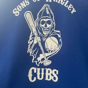 Hanes Blue ComfortBlend Hoodie